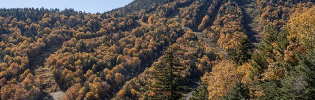 Peak of Gore Mountain in Fall Colors